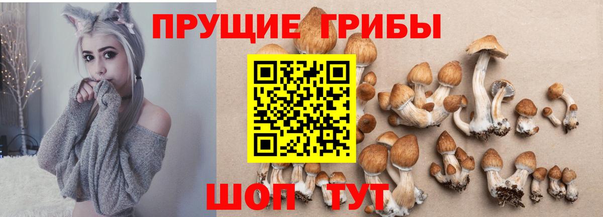 Псилоцибиновые грибы Magic Shrooms  Псилоцибиновые грибы Magic Shrooms  Вход с VPN  Янаул 